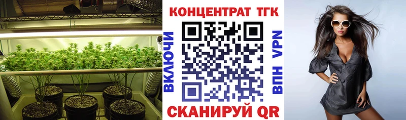 ТГК Wax  Гусев 