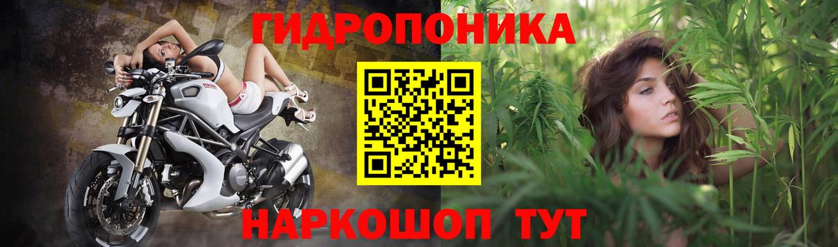 Конопля VHQ Гусев